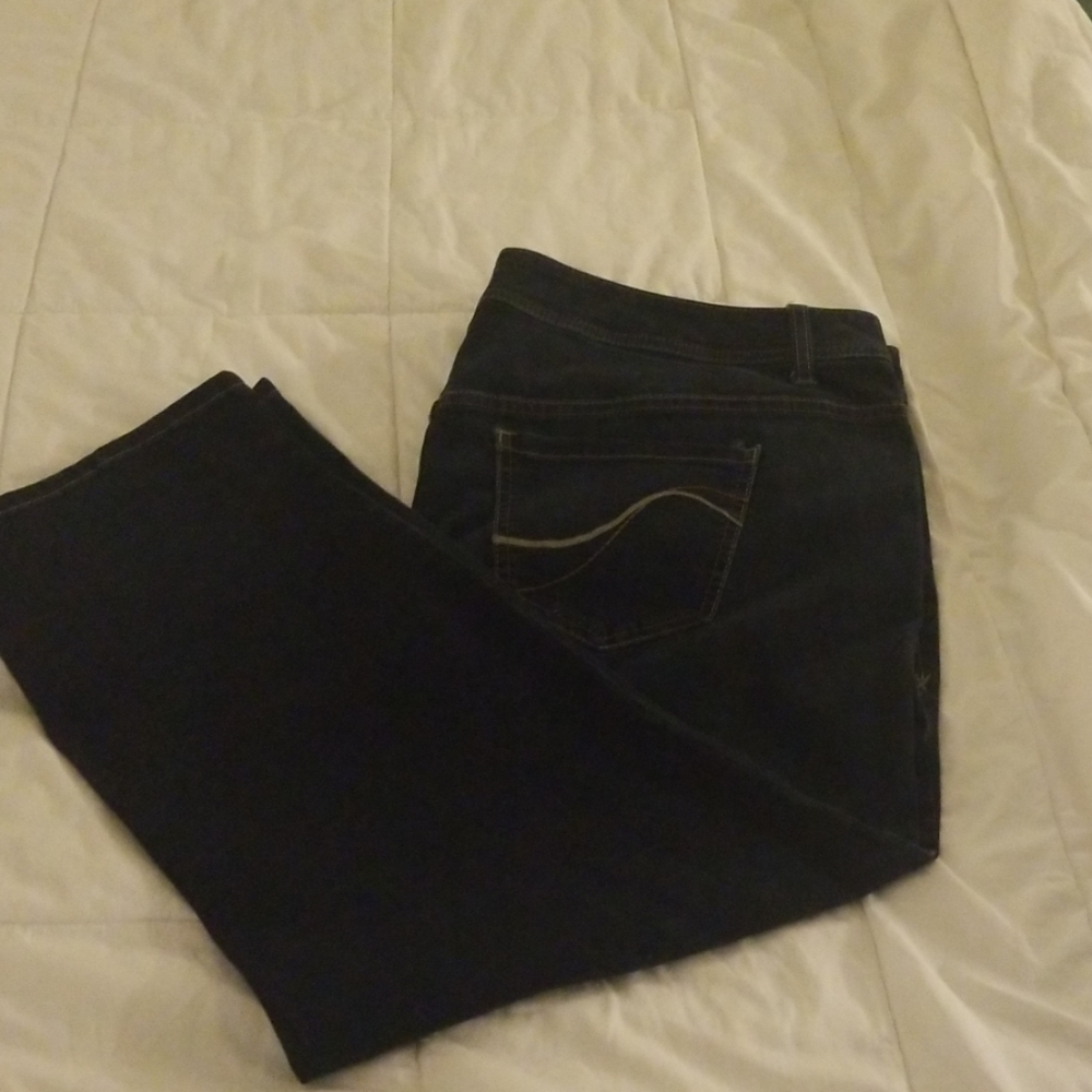 Lane Bryant Plus Size Jeans